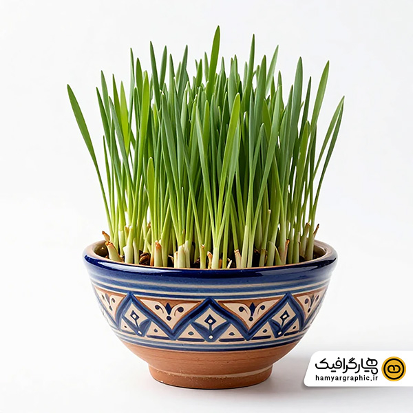 عکس استوک با کیفیت سبزه عید – تصویر استوک ویژه سفره هفت سین، نوروز