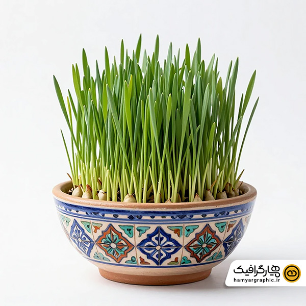 عکس استوک سبزه نوروز در کاسه سفالی – تصویر استوک حرفهای سفره هفت سین نوروزی